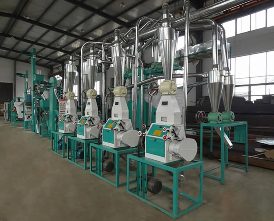 20 tpd maize flour milling plant